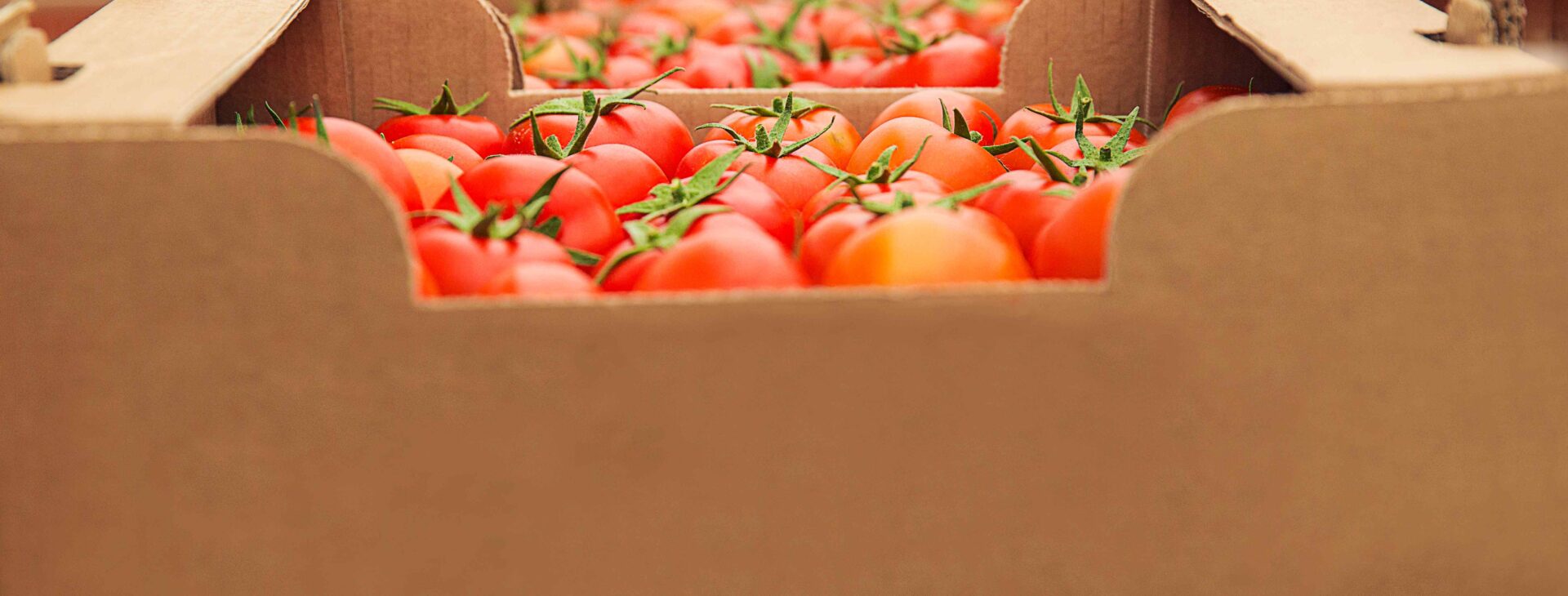 we understand the importance of packaging <br />
when it comes to exporting agricultural products.